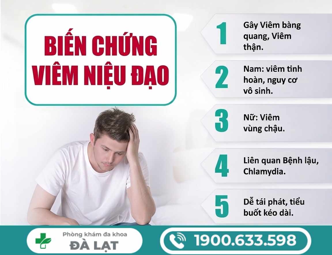Hình ảnh minh họa